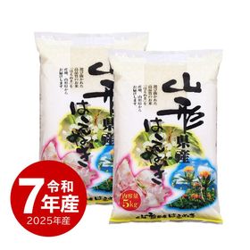 米 山形県産 はえぬき 10kg 令和7年産 | 新潟のお米専門店 みのりや
