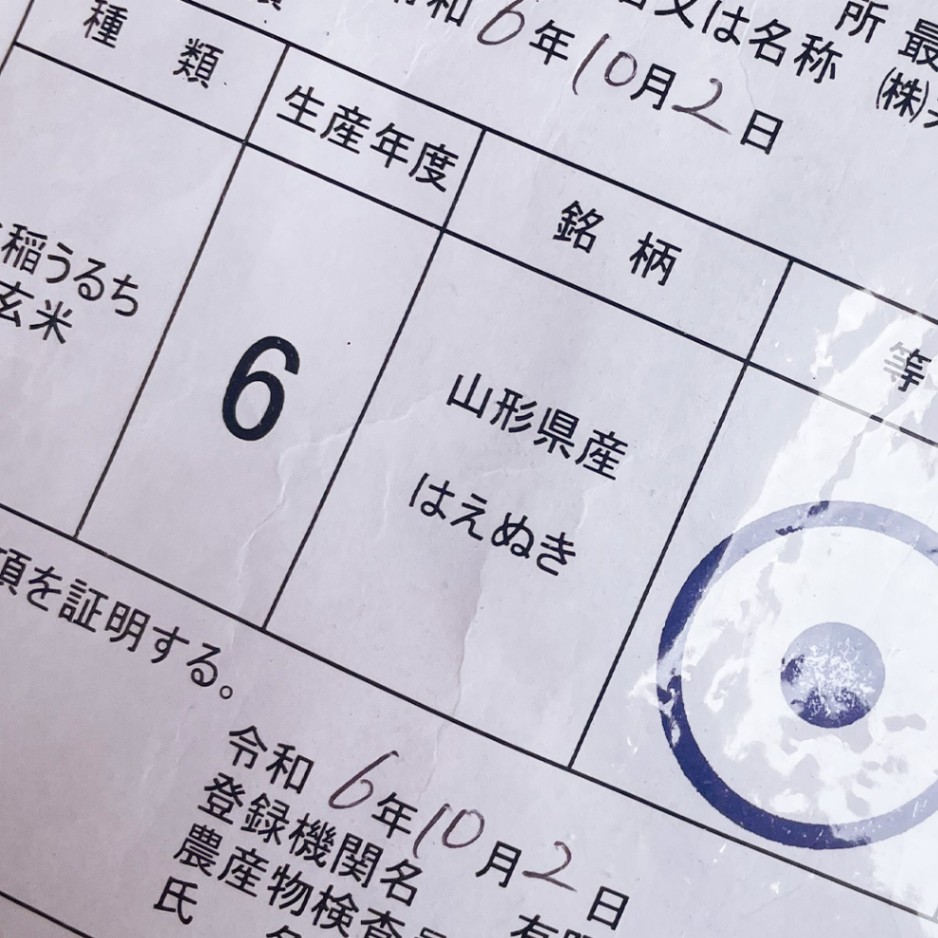 はえぬき