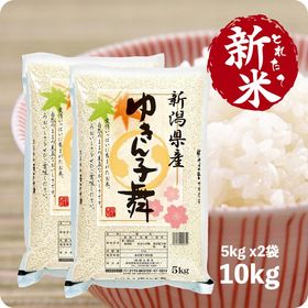 新米 新潟産ゆきん子舞 10kg  令和7年産 