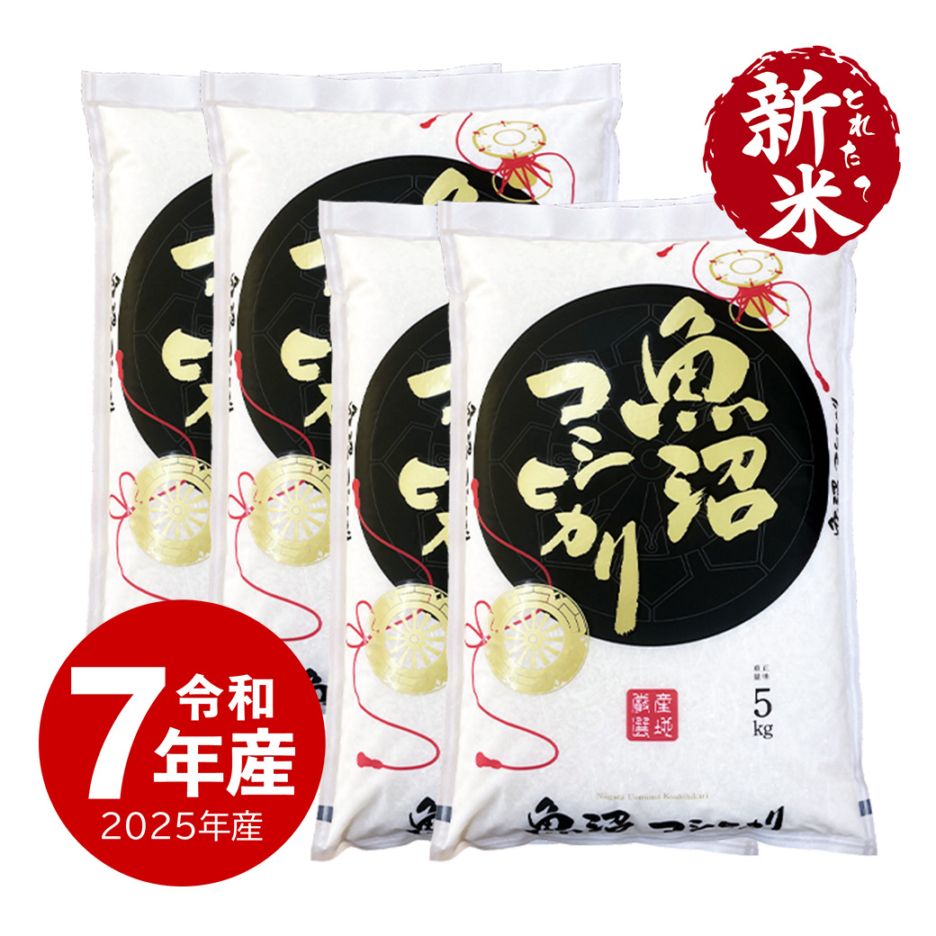 新潟県産　こしひかり 20kg コシヒカリ 新米 令和7年産 米 20kg 新潟 送料無料 あすつく 5Kg