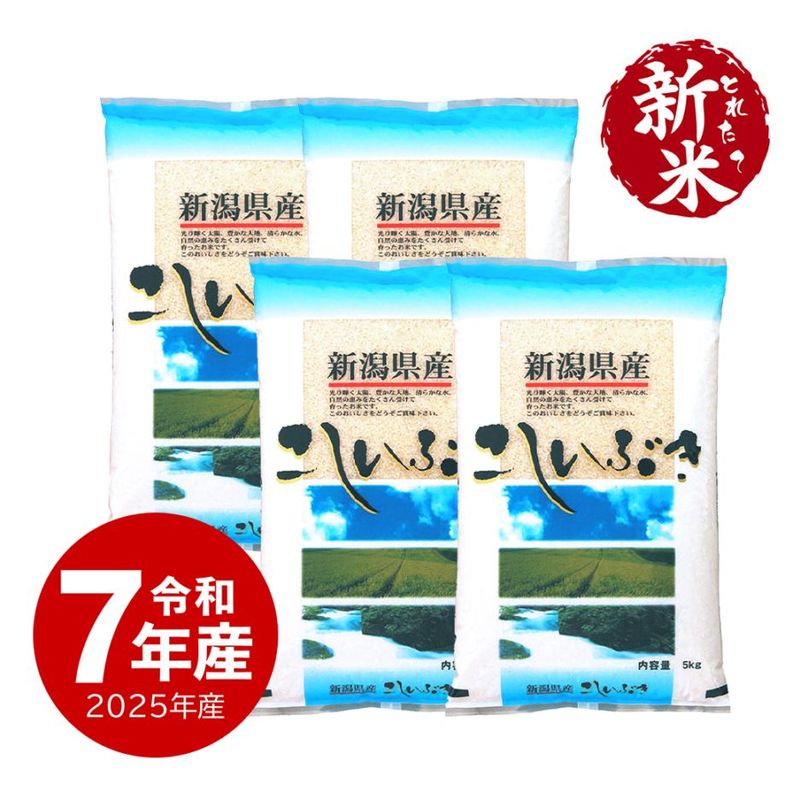 【新米】 新潟産こしいぶき20kg 令和7年産