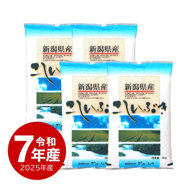 米 新潟産こしいぶき20kg 令和7年産