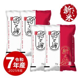 【新米】 新之助 20kg 令和7年産 しんのすけ 一等米