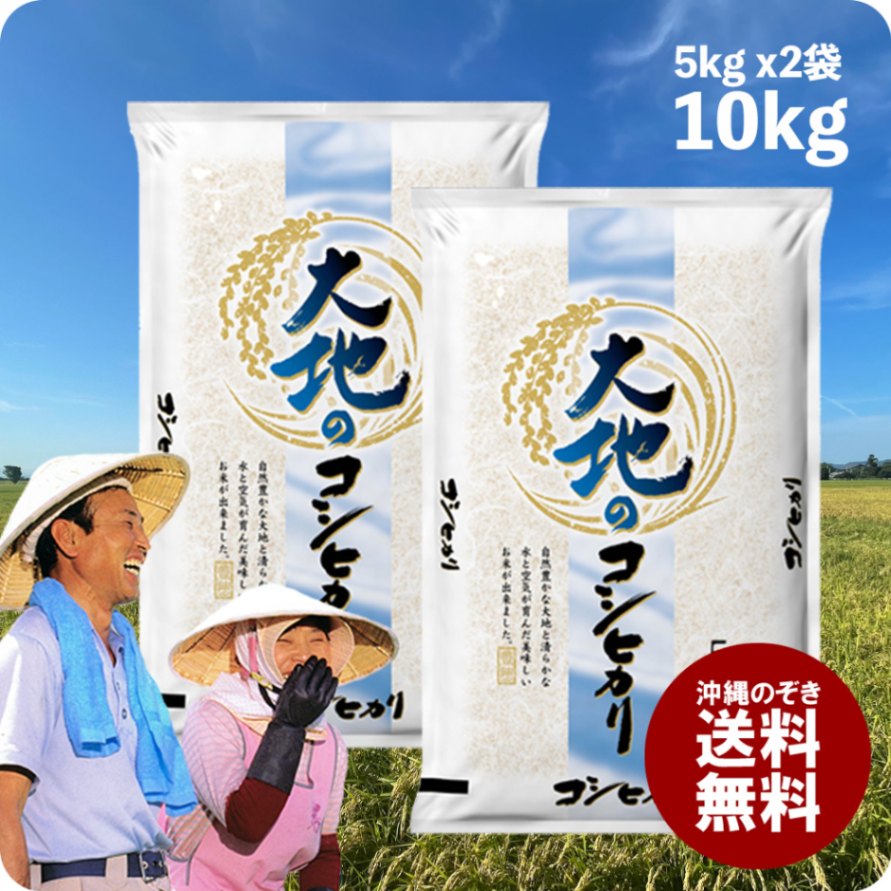 【在庫かぎり 蔵出しセール】大地のコシヒカリ10kg (5kgx2袋) 