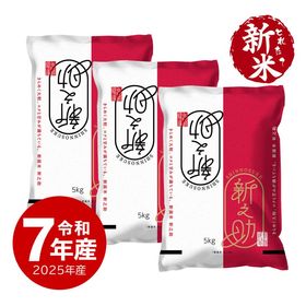 【新米】 新之助 15kg 令和7年産 しんのすけ 一等米