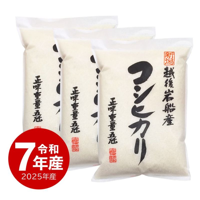 岩船産コシヒカリ 15kg 令和7年産