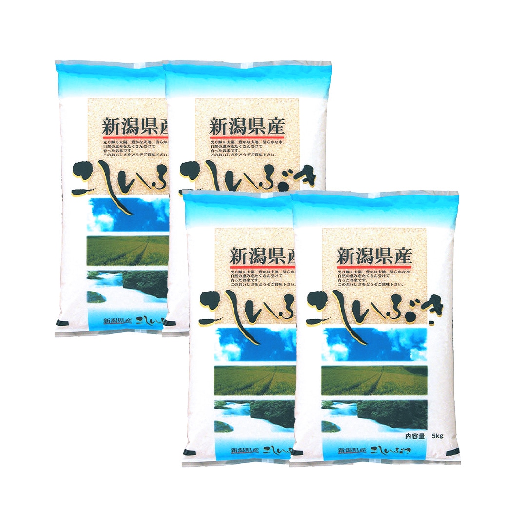 お米 新潟産こしいぶき20kg 令和6年産 | 新潟のお米専門店 みのりや お米 新潟産こしいぶき20kg 令和6年産 | 新潟のお米専門店 みのりや