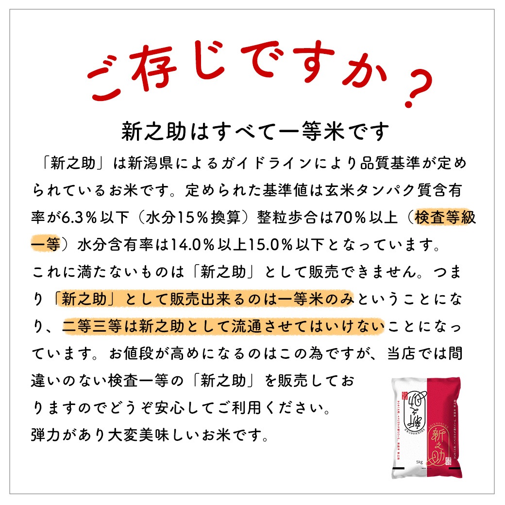 お米 新之助 20kg 令和6年産 しんのすけ 一等米