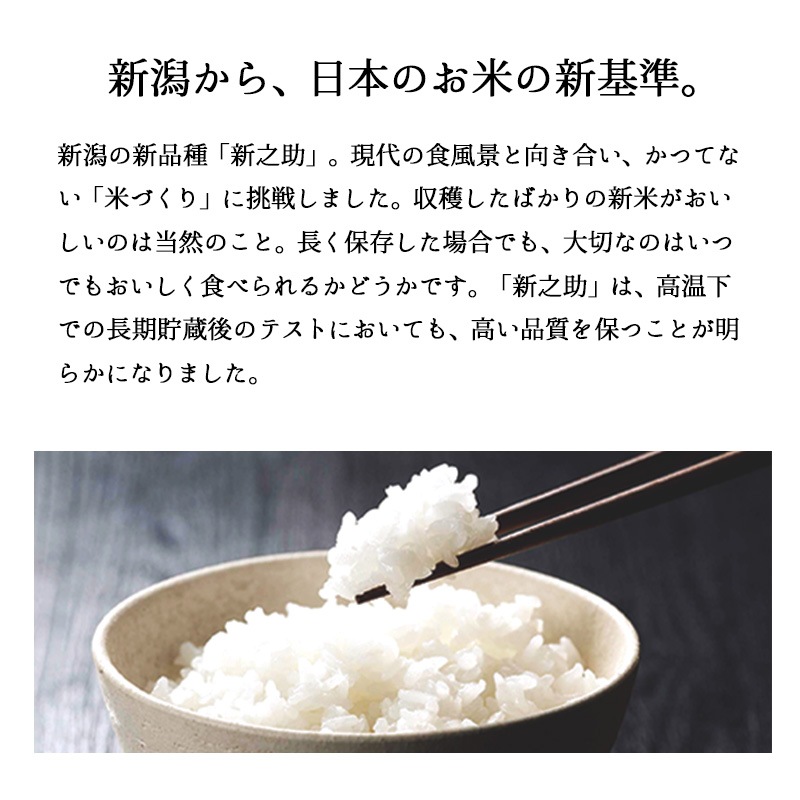 お米 新之助 20kg 令和6年産 しんのすけ 一等米