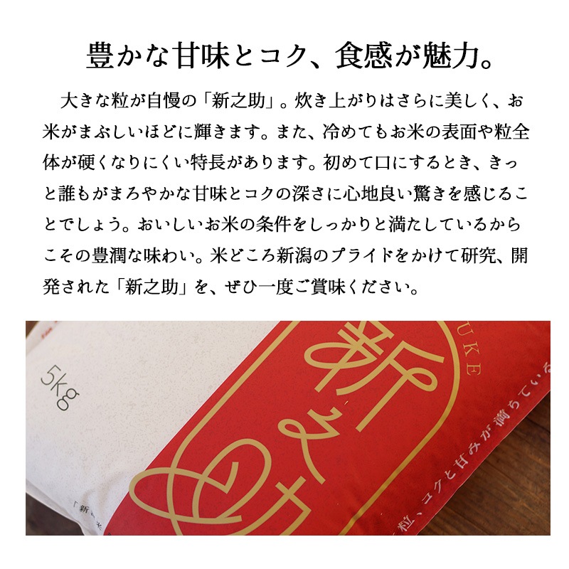 お米 新之助 20kg 令和6年産 しんのすけ 一等米
