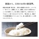 お米 新之助 20kg 令和6年産 しんのすけ 一等米
