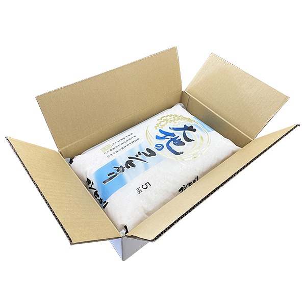 【在庫かぎり 蔵出しセール】大地のコシヒカリ10kg (5kgx2袋) 