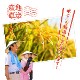 【在庫かぎり 蔵出しセール】大地のコシヒカリ10kg (5kgx2袋) 