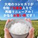大地のコシヒカリ10kg (5kgx2袋) 