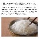 【新米】新潟産コシヒカリ 10kg 令和7年産