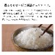 【新米】新潟産コシヒカリ 20kg 令和7年産
