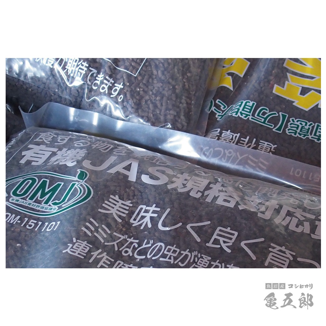 【新米】 5kg 亀五郎さんのコシヒカリ 令和7年産
