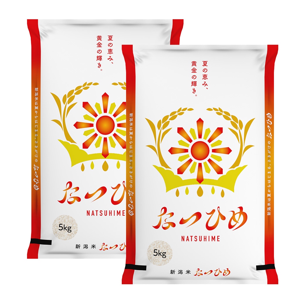 とれたて新米 新潟産 なつひめ10kg 令和8年産 