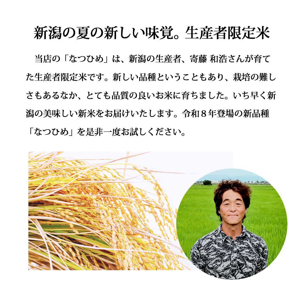 とれたて新米 新潟産 なつひめ10kg 令和8年産 
