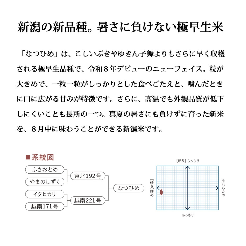 とれたて新米 新潟産 なつひめ10kg 令和8年産 