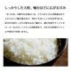 とれたて新米 新潟産 なつひめ10kg 令和8年産 