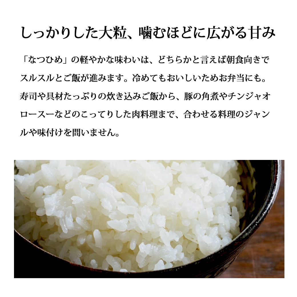とれたて新米 新潟産 なつひめ20kg 令和8年産 