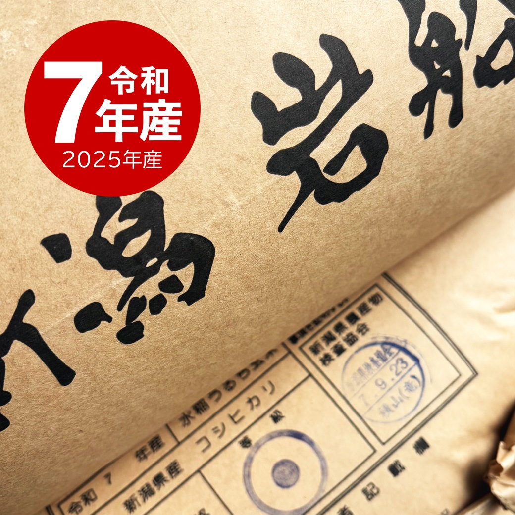 岩船産コシヒカリ 15kg 令和7年産