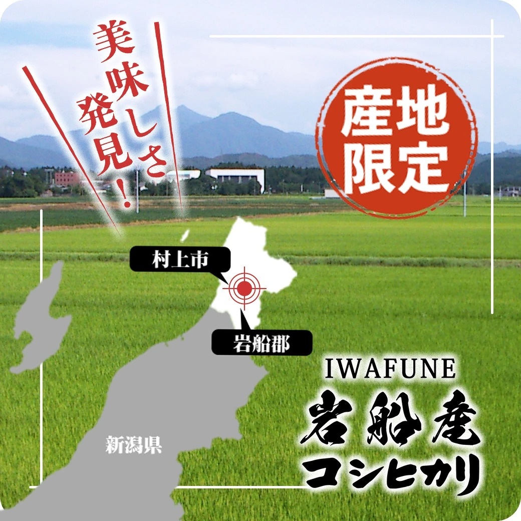 新米 岩船産コシヒカリ 15kg 令和8年産（10/5～出荷）