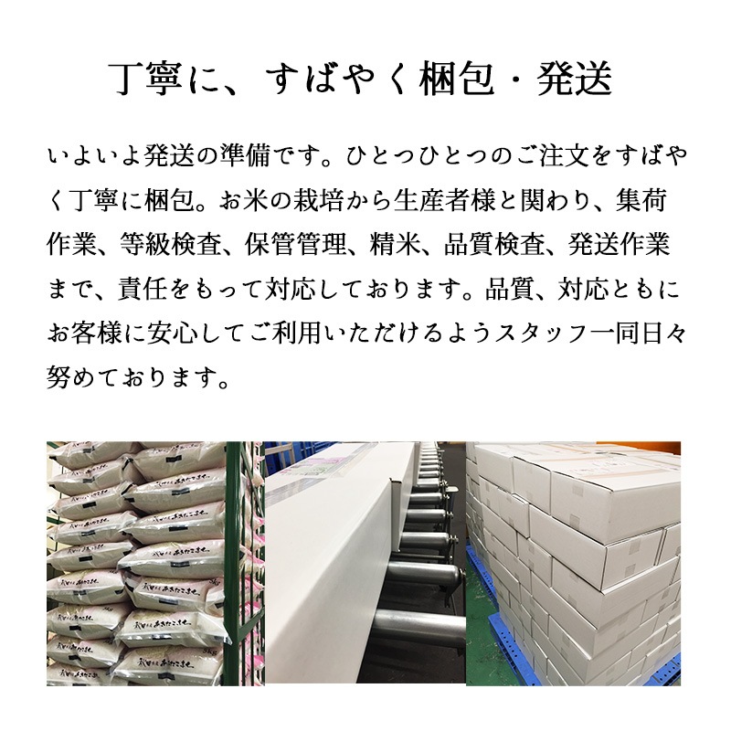 お米 極上魚沼産コシヒカリ5kg 令和6年産 特A