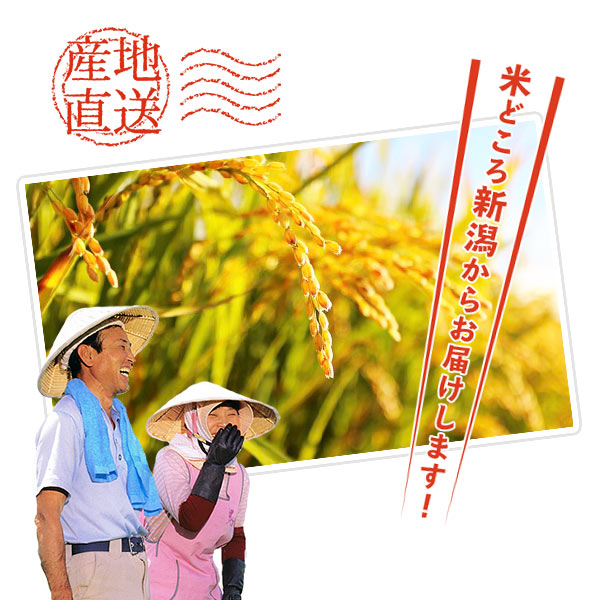 大地のコシヒカリ15kg (5kg3袋)
