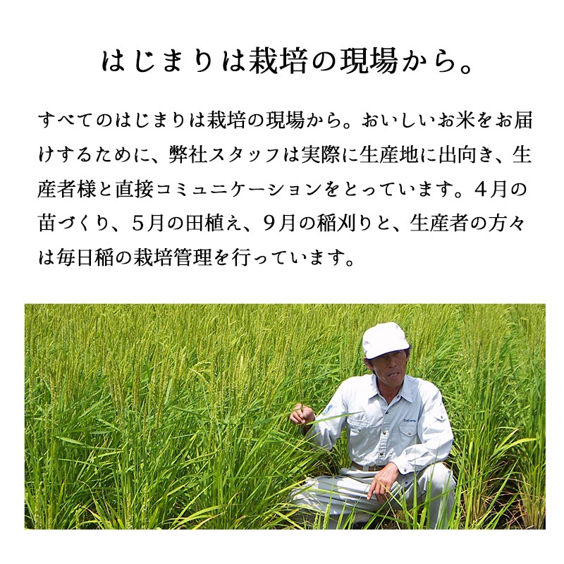 大地のコシヒカリ15kg (5kg3袋)