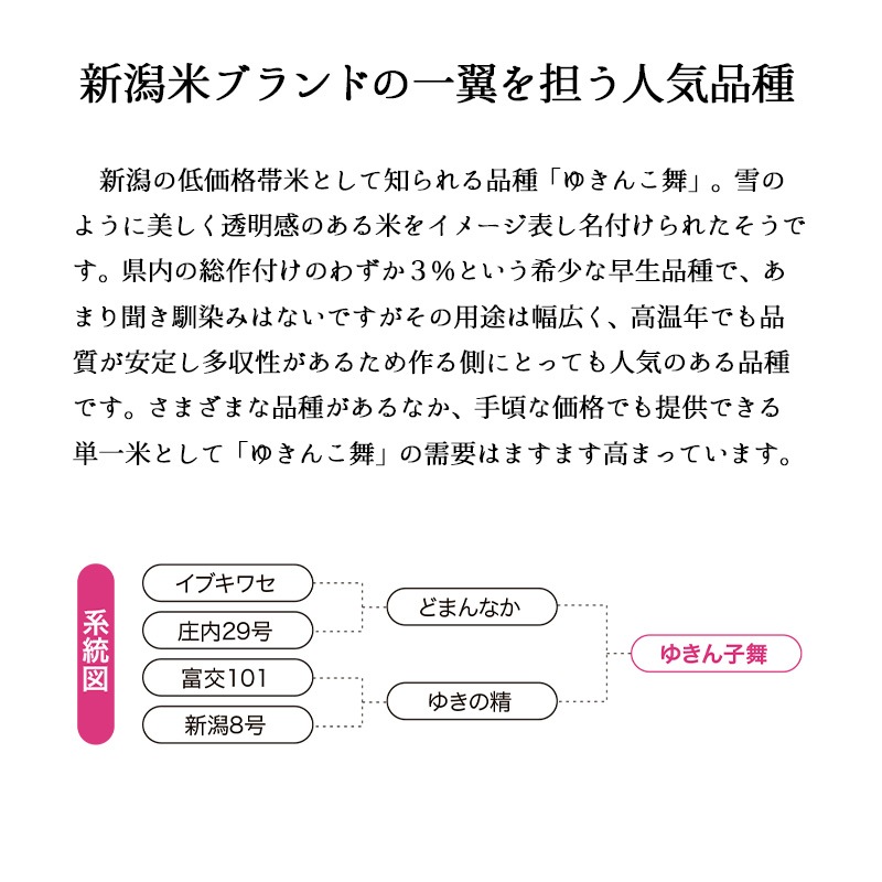 【蔵出しセール価格】 お米 ゆきん子舞 15kg 新潟産 令和6年産