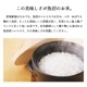 お米 魚沼産コシヒカリ10kg 令和6年産  特A