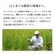 お米 魚沼産コシヒカリ10kg 令和6年産  特A