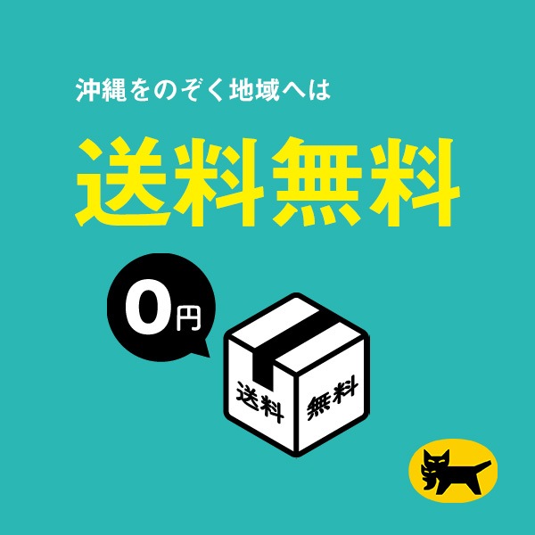お米 新之助 10kg 令和6年産 しんのすけ 一等米