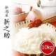 お米 新之助 10kg 令和6年産 しんのすけ 一等米