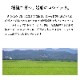 岩船産コシヒカリ 5kg 令和7年産