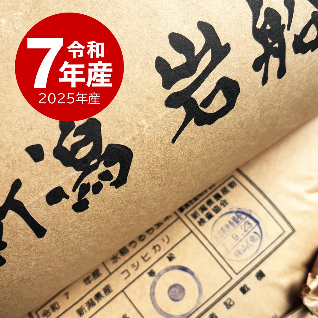 岩船産コシヒカリ 10kg 令和7年産