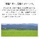 岩船産コシヒカリ 10kg 令和7年産