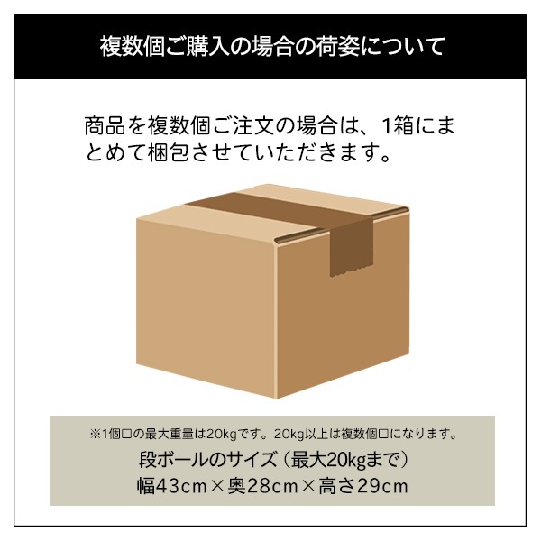 お米 新潟産こしいぶき5kg 白米 令和6年産