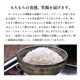 お米 新潟産ミルキークイーン10kg 令和6年産