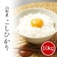 お米 山形県産 コシヒカリ 10kg 令和6年産