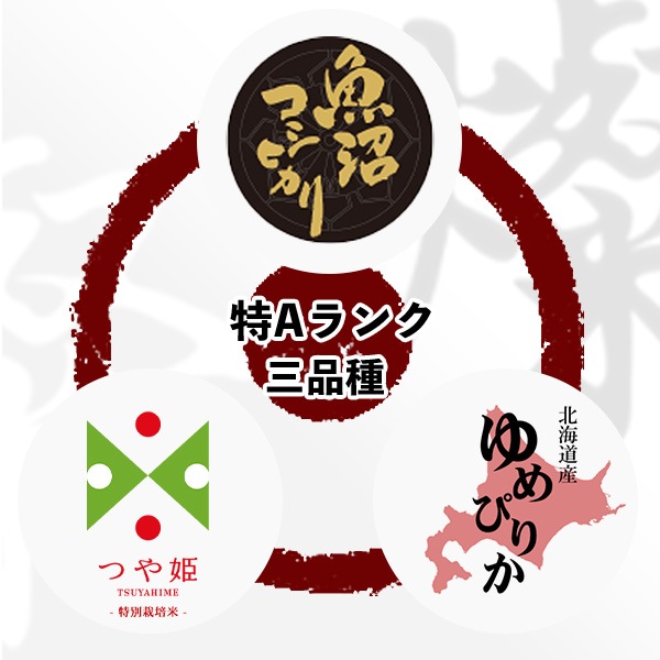 米 ギフト 燦(さん) 同色２箱 お米  食べ比べセット コシヒカリ つや姫 ゆめぴりか 真空パック