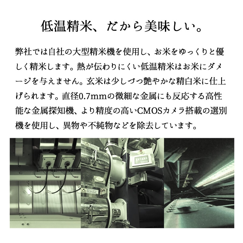 お米 山形産つや姫 5kg 令和6年産 特A