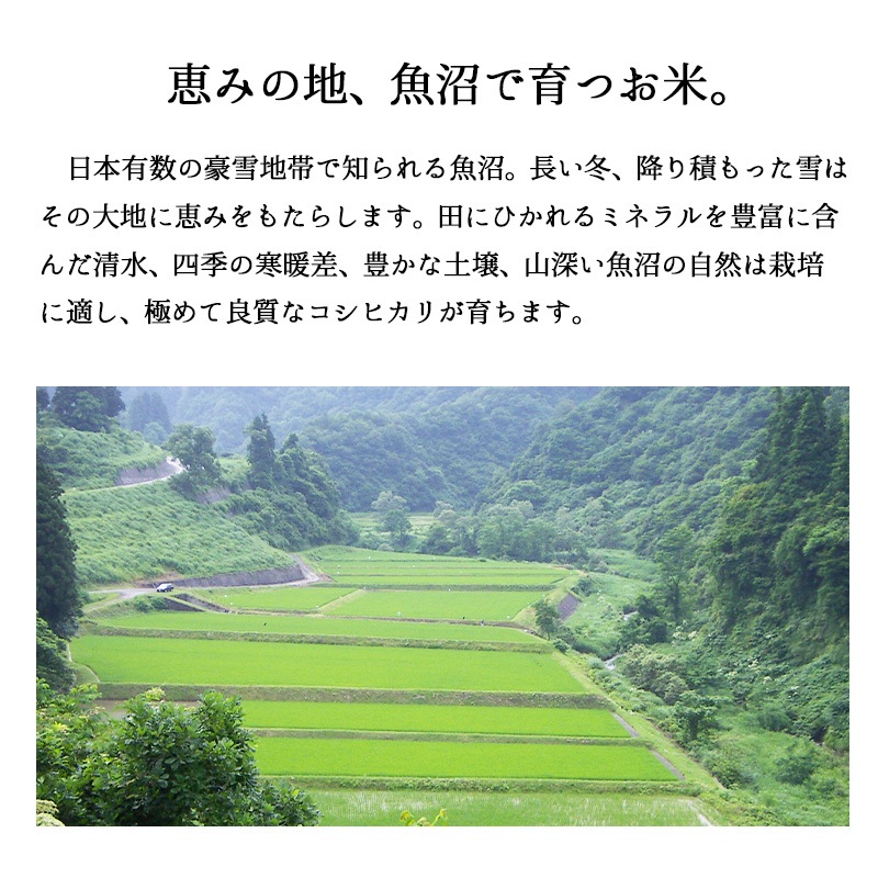 【新米】 極上魚沼産コシヒカリ15kg 令和7年産