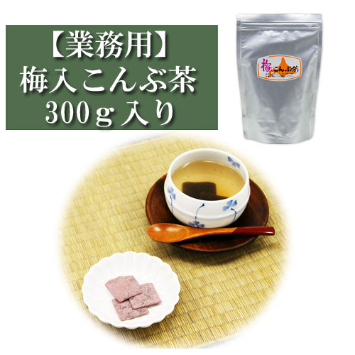 業務用 昆布茶 きざみ昆布入り 500ｇ入り 浪花昆布 粉末 こんぶ茶 コンブチャ お茶漬け 出汁 だし レシピ 大容量 徳用