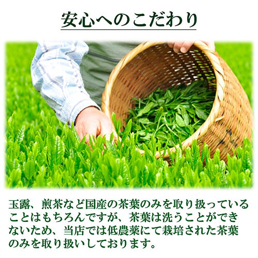 高級玉露 50ｇ入り 宇治茶 お茶 日本茶 緑茶 お茶の葉 茶匠 みのる園 ギフト プレゼント Green Tea お茶の種類 お食事用 おやつ用 来客用 玉露とは 煎茶道 普通蒸し 煎茶器