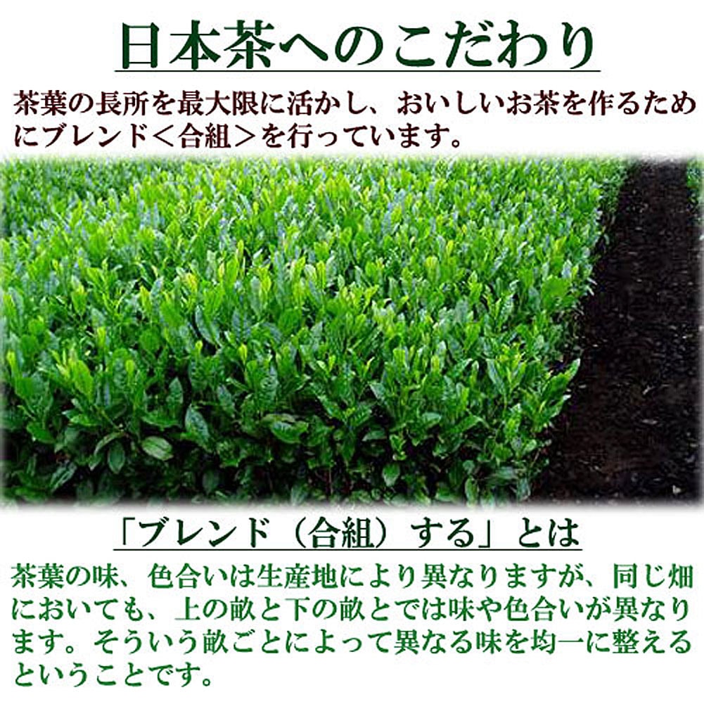 高級煎茶 「松」 100ｇ入り 宇治茶 お茶 日本茶 緑茶 お茶の葉 茶匠 みのる園 ギフト プレゼント Green Tea お茶の種類 お食事用 おやつ用 来客用 煎茶とは 煎茶道 普通蒸し 煎茶器