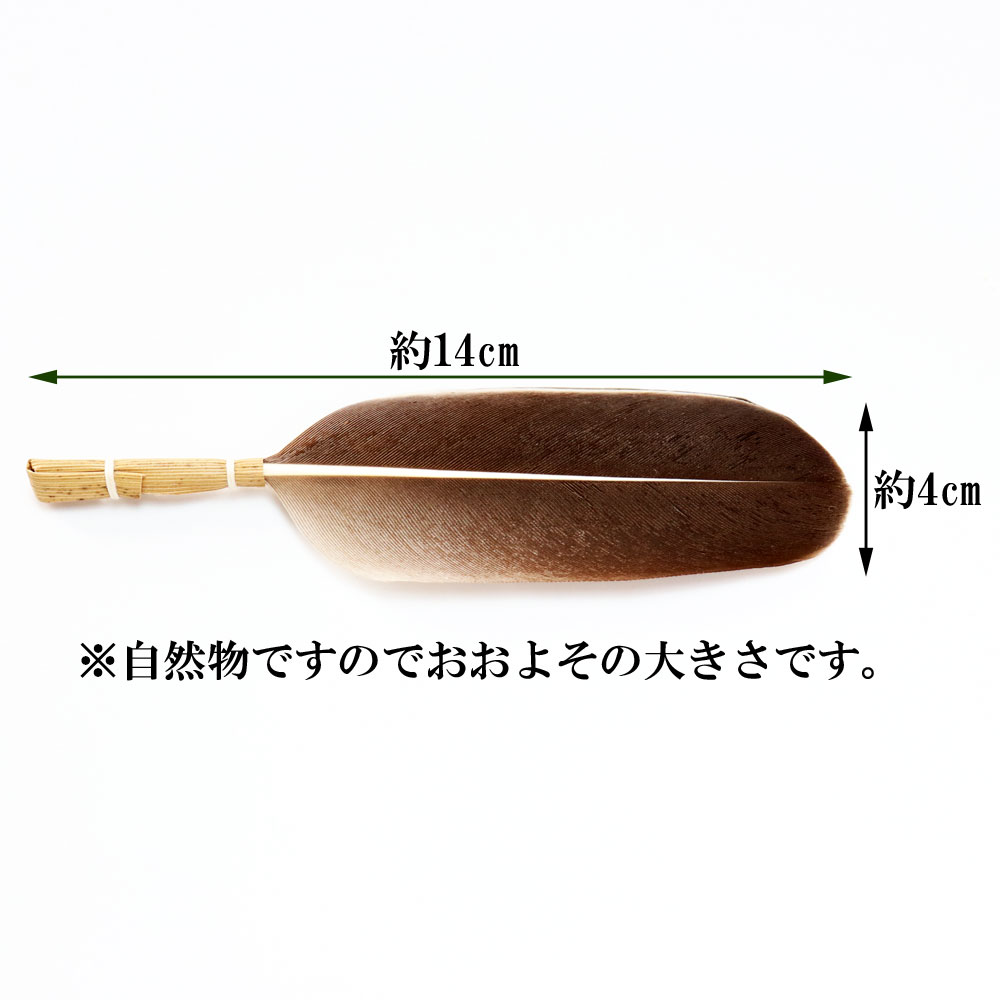 小羽根 茶箱用 灰茶色 茶道具 Tea ceremony utensils 茶器 抹茶を点てる道具 陶磁器 茶の湯道具 抹茶 matcha 茶道具類 お点前 水屋 お稽古用 美術品 裏千家 表流 表千家 千家 武者小路千家 薮内流