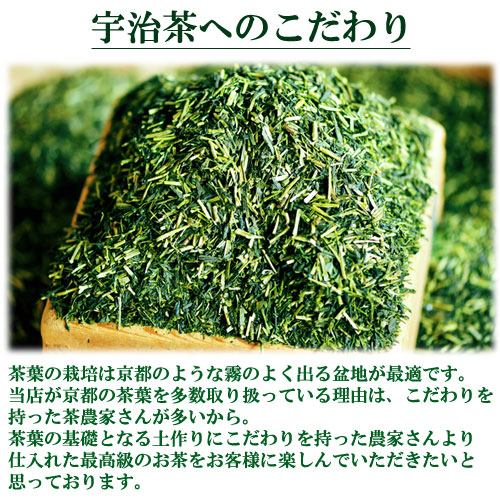 業務用 お寿司屋さんの粉茶 1kg入り 日本茶 緑茶 お茶 茶葉 茶匠 みのる園 ギフト プレゼント Green Tea お茶の種類 お食事用 おやつ用 来客用 玉露とは 煎茶道 普通蒸し 煎茶器
